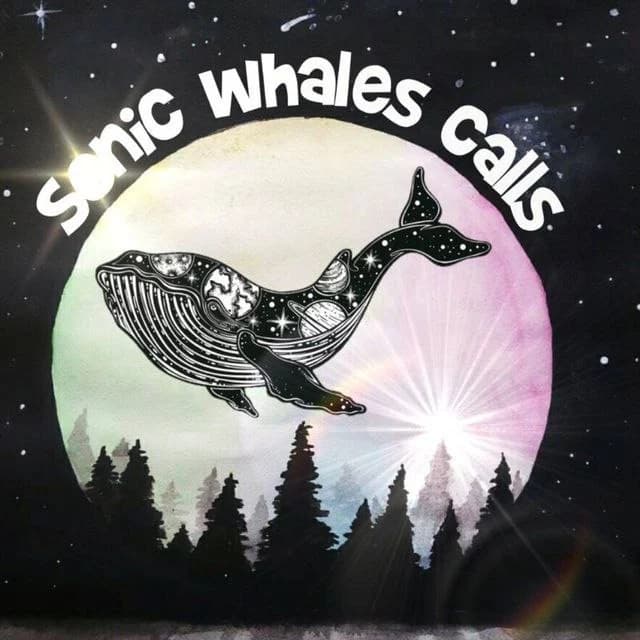 Sonic Whale Calls